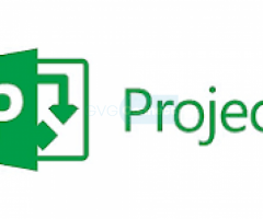 Microsoft Project Video Tutorial